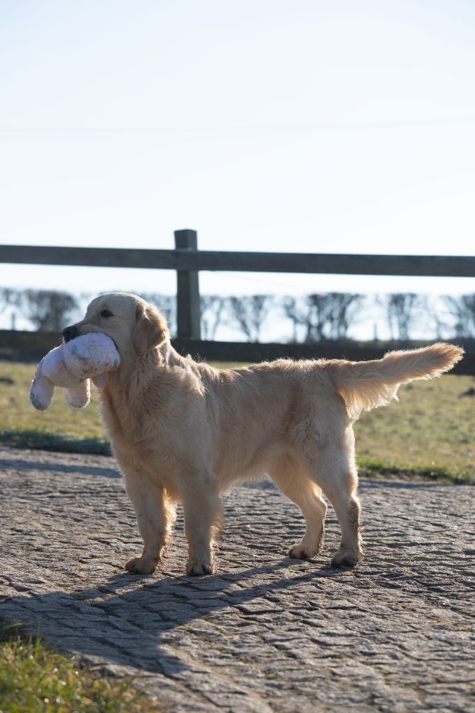 Ultimate sunshine du Clos des Facons